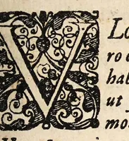 An illustration from Disputatio cheirurgica [sic] de ulceribus ... (1647)