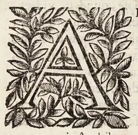 Picture 5 of 9 from Guidi Antonii Albanesii Aphorismorum Hippocratis expositio peripatetica (1649), leaf 8