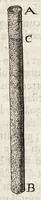 Picture 4 of 7 from Ioannis Pecqueti Diepaei Experimenta nova anatomica : quibus incognitum hactenus chyli receptaculum, & ab eo per thoracem in ramos usque subclavios vasa lactea deteguntur ; Eiusdem Dissertatio anatomica de circulatione sanguinis, et chyli motu : accedunt clarissimorum virorum perelegantes ad authorem epistolae (1651), leaf 73