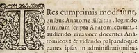 An illustration from Theoremata anatomica miscellanea de variis humani corporis partibus ... (1653)