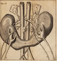 An illustration from Historiarum anatomicarum rariorum centuria I et II (1654)