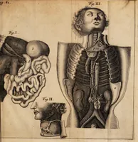 An illustration from Historiarum anatomicarum rariorum centuria I et II (1654)