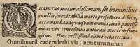An illustration from Disputatio medica de marasmo ... (1656)