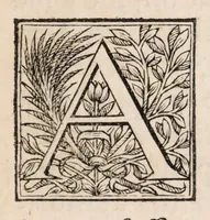 Picture 4 of 6 from Philippi Doute Doctoris Medici Parisiensis De succo cyrenaico diatriba ad Bertinum Dieuxivoie ejusdem facultatis doctorem, : Cui accessit ad eundem antirrheticus in quo singula apologetici capita disquiruntur, indéque natâ occasione alexipharmacorum ac purgantium vires in totius substantiae proprietate positae vindicantur (1659), leaf 13