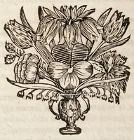 An illustration from Dissertatio inauguralis de propriorum oculorum defectibus ad leges mechanices revocatis ... (1671)