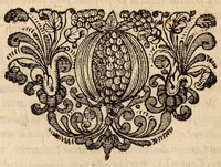An illustration from Disputationem medicam ... de sterilitate utriusque sexus ... MDCLXXII (1672)