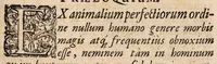 An illustration from Disputatio medica inauguralis de colica ... (1675)