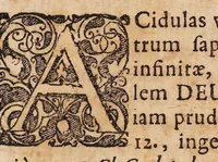 An illustration from Dissertatio medica de acidularum usu externo ... (1677)