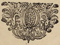 An illustration from Ortus morborum e fermento ventriculi in eorum ultionem ad vitam sanam ... (1678)