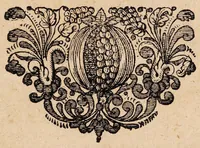 An illustration from Dissertationem inauguralem de asthmate ... (1680)