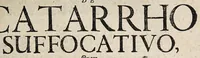 An illustration from Disputatio inauguralis medica, de catarrho suffocativo ... (1681)