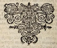 An illustration from Disputatio inauguralis medica, de catarrho suffocativo ... (1681)