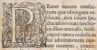 An illustration from Exercitatio anatomica de monstro humano nupero ... (1684)