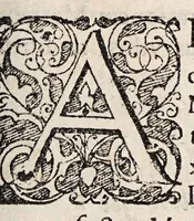 An illustration from Quaestionum de visu dodecas ... (1684)
