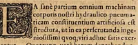 An illustration from Disputatio medica inauguralis de mensium defectu (1684)