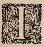 An illustration from Ontledingen en ontdekkingen van de onsigtbare verborgentheden; vervat in verscheyde brieven, (1685)