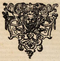 An illustration from Expositio medica casus de aegritudine animi ... (1688)