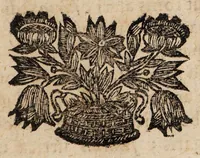 An illustration from De usu plantarum, indigenarum in medicina, et sub finem, de clysso plantarum, & thee specifico, enchiridion (1690)