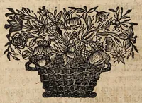 An illustration from Disputationem inauguralem de suffusione vulgo vom Staar ... (1691)