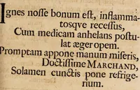 An illustration from Dissertatio solennis de inflammatione ... (1695)