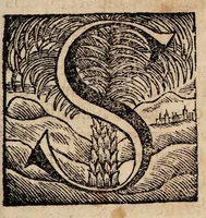 An illustration from Dissertatio inauguralis medico-chirurgica, de fistularum nova, tuta ac compendiosa sanatione ... (1697)