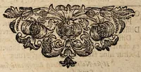 An illustration from Dissertatio inauguralis medica, de abortu ... (1697)