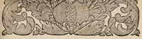 An illustration from Dissertatio inauguralis medica de labrosulcio, seu cheilocace ... (1698)