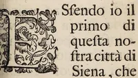 An illustration from Il trionfo della china china (1699)