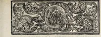 An illustration from Dissertatio inauguralis medica, de panacea ... (1730)