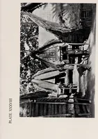 Picture 9 of 14 from Argonauts of the western Pacific : an account of native enterprise and adventure in the archipelagoes of Melanesian New Guinea (1922), leaf 267