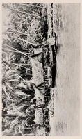An illustration from Argonauts of the western Pacific : an account of native enterprise and adventure in the archipelagoes of Melanesian New Guinea (1922)