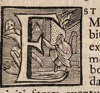 An illustration from Disputatio inauguralis medica de febrifuga chinae-chinae virtute ... (1693)