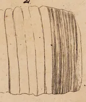 Picture 3 of 8 from Dissertazione epistolare del fosforo minerale ò sia della pietra illuminabile bolognese (1698), leaf 49