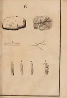 An illustration from Dissertazione epistolare del fosforo minerale ò sia della pietra illuminabile bolognese (1698)