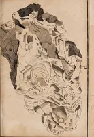 An illustration from Dissertazione epistolare del fosforo minerale ò sia della pietra illuminabile bolognese (1698)
