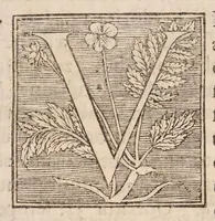 An illustration from Disputatio inauguralis sistens aegrum pleuro-pneumonia laborantem ... (1687)
