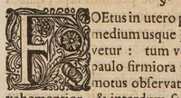 An illustration from Dissertationem hanc de abortu epidemico (1697)