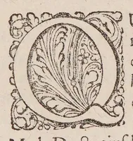 An illustration from Generosiss. nobiliss. expertissimique Di. Di. Ludovici de Bils à Coppensdamme, Bonem, &c. Di. Responsio ad admonitiones Di. Johannis ab Horne in Academiâ Lugd-Bat. anatomes ac chirurgiae profess. ordinarii : ut & ad animadversiones Di. Pauli Barbette medici Amstelodamensis in anatomica Bilsiana. (1661)