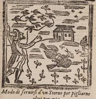 Picture 1 of 11 from Theatro della caccia e trattenimento geniale della villa (1669), leaf 19