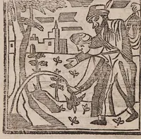 An illustration from Theatro della caccia e trattenimento geniale della villa (1669)