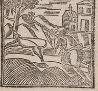 Picture 4 of 11 from Theatro della caccia e trattenimento geniale della villa (1669), leaf 31