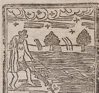 Picture 6 of 11 from Theatro della caccia e trattenimento geniale della villa (1669), leaf 42
