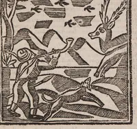 Picture 7 of 11 from Theatro della caccia e trattenimento geniale della villa (1669), leaf 67