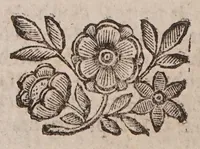 Picture 8 of 11 from Theatro della caccia e trattenimento geniale della villa (1669), leaf 82