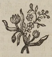 An illustration from Le ventriloque ou l'engastrimythe (1772)