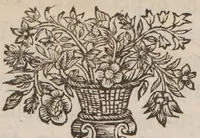An illustration from Revelations cabalistiques d'une médecine universelle tirée du vin: avec une maniere d'extraire le sel de rosée: et une dissertation sur les lampes sepulchrales (1735)