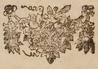 An illustration from De praxi medica ad priscam observandi rationem revocanda, libri duo. Accedunt dissertationes novae. I. De anatome, morsu, et effectibus tarantulae ... II. De usu et abusu vesicantium. III. Experimenta varia anatomico-infusoria. IV. De circulatione sanguinis in rana. V. Historia morbi, et sectionis cadaveris Marcelli Malpighii. VI. Appendix de apoplexiis (1700)