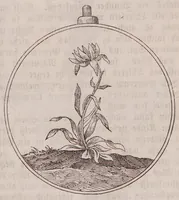 An illustration from Wunder-Buch von der göttlichen Magie (1850)