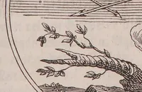 An illustration from Wunder-Buch von der göttlichen Magie (1850)