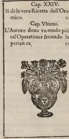 Picture 1 of 2 from Dell'alchimia: opra [sic], che con fondamenti di bvona filosofia, e perspicuità ammirabile tratta della realtà, difficoltà e nobiltà di tanta scienza, delle marauiglie della natura, dell' arte, e de' metalli, e delle regole, e methodo da offeruarsi nella compositione dell' oro alchimico ... (1645), leaf 24